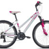Jalgratas 26 Torpado STORM T591A